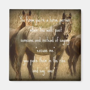 Een paard magneet