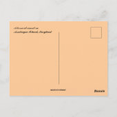 Een paard op Sunset op Assateague Island Maryland Briefkaart (Achterkant)