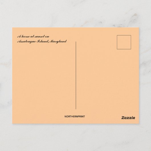 Een paard op Sunset op Assateague Island Maryland Briefkaart (Achterkant)