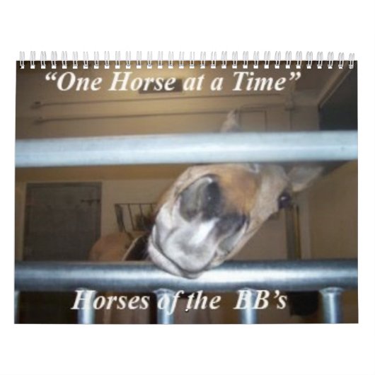 Eén paard per tijdkalender kalender (Hoes)