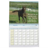 Eén paard per tijdkalender kalender (Feb 2027)