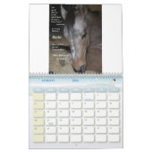Eén paard per tijdkalender kalender (Jan 2026)