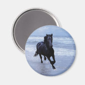 Een paard vrij en vrij magneet (Voorkant / Achterkant)