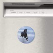 Een paard vrij en vrij magneet (Insitu (Vaatwasser))