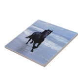 Een paard vrij en vrij tegeltje (Zijkant)