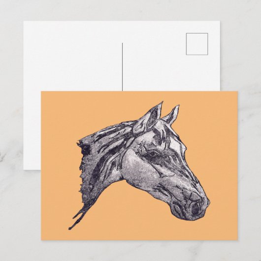 Een paardenschoonheid briefkaart (Voorkant / Achterkant)