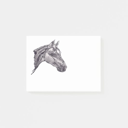 Een paardenschoonheid post-it® notes (Voorkant)
