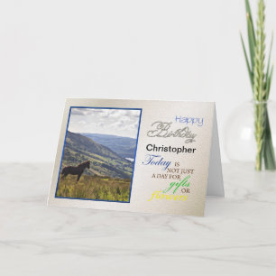 Een paardenverjaardagskaart, voeg gewoon de naam t kaart