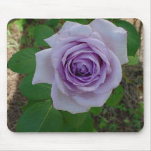 Eén Paarse Muismat Roos