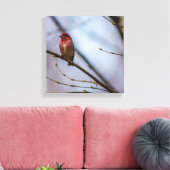 Een Paarse vink 12 x 12 stretched canvas print (Insitu (Woonkamer))