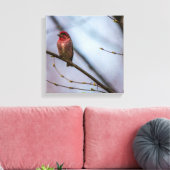 Een Paarse vink 12 x 12 stretched canvas print (Insitu (Woonkamer))