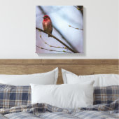 Een Paarse vink 12 x 12 stretched canvas print (Insitu (Slaapkamer))