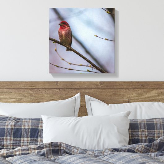 Een Paarse vink 12 x 12 stretched canvas print (Insitu (Slaapkamer))