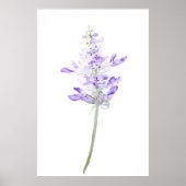 één paarse waterverf van de fernleaflavendel poster (Voorkant)
