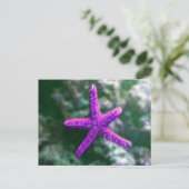 Een Paarse zeester op het strand Briefkaart (Staand voorkant)