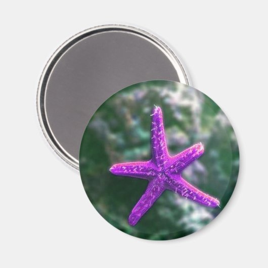 Een Paarse zeester rotsachtig strand Magneet (Voorkant / Achterkant)