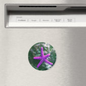 Een Paarse zeester rotsachtig strand Magneet (Insitu (Vaatwasser))