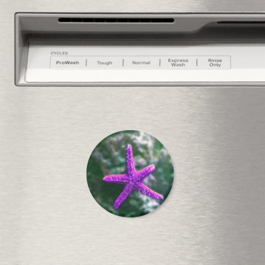 Een Paarse zeester rotsachtig strand Magneet (Insitu (Vaatwasser))