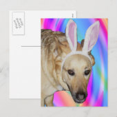 Een paashaas? feestdagenkaart (Voorkant / Achterkant)