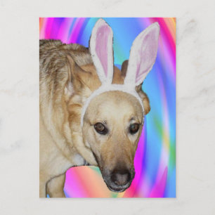 Een paashaas? feestdagenkaart