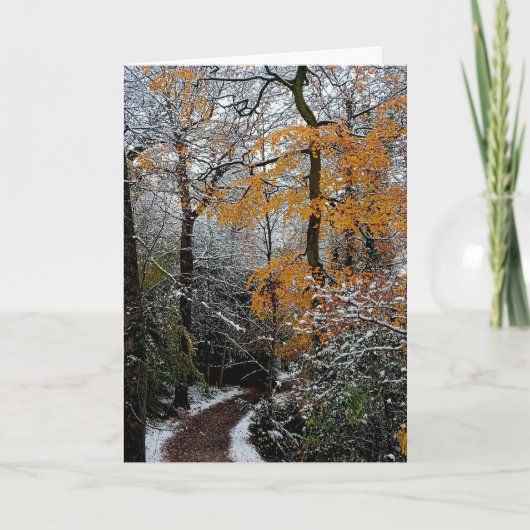 Een pad door de bomen kaart (Voorkant)