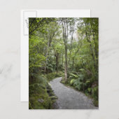 Een pad door een regenwoud aan de basis van briefkaart (Voorkant / Achterkant)