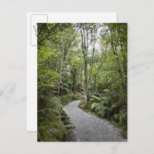 Een pad door een regenwoud aan de basis van briefkaart (Voorkant / Achterkant)