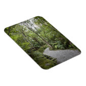 Een pad door een regenwoud aan de basis van magneet (Rechterzijde)