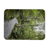 Een pad door een regenwoud aan de basis van magneet (Horizontaal)