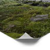 Een pad door een regenwoud aan de basis van poster (Hoek)