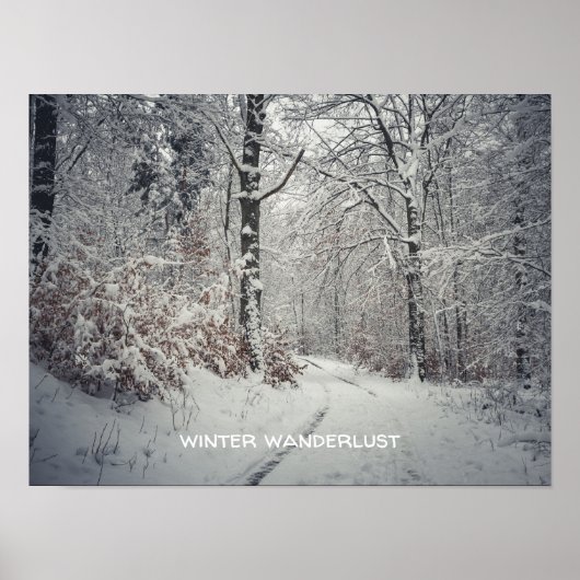Een pad door het betoverde winterbos poster (Voorkant)