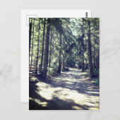 Een pad door het bos briefkaart (Voorkant / Achterkant)