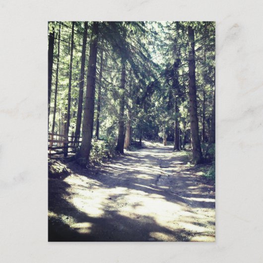 Een pad door het bos briefkaart (Voorkant)