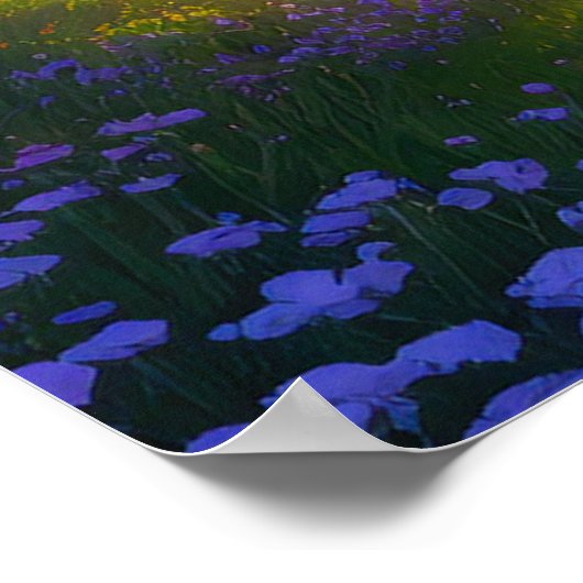 Een pad door het bos poster (Hoek)