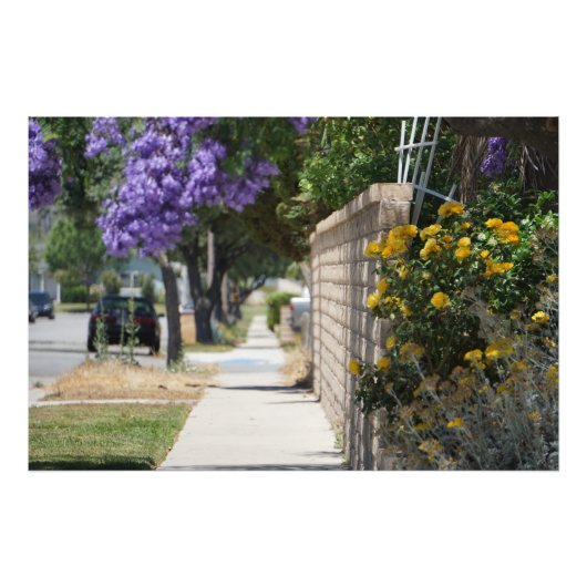 Een pad foto afdruk (Voorkant)