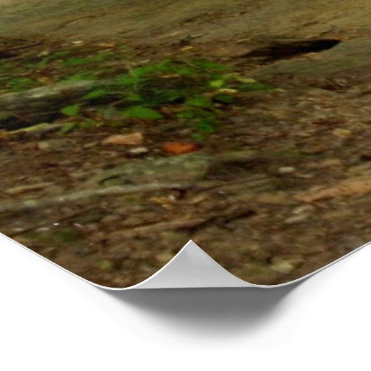 Een pad in de Bossen Poster (Hoek)