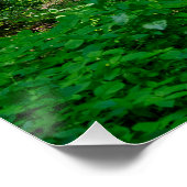 Een pad in het groene bos perfect poster (Hoek)