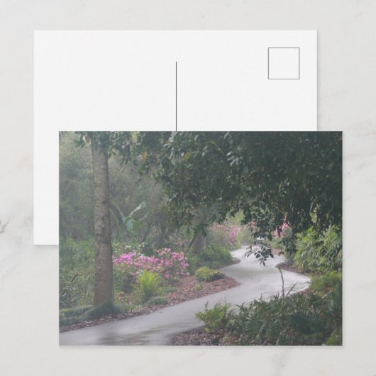 Een pad op Azalea Briefkaart (Voorkant / Achterkant)