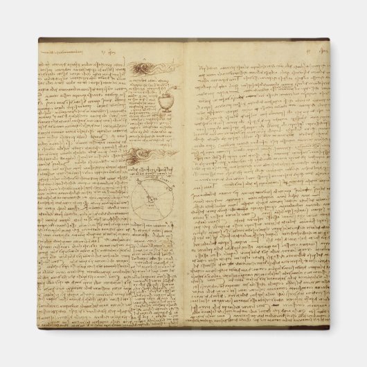 Een pagina van de Codex Leicester, 1508-12 Magneet (Voorkant)
