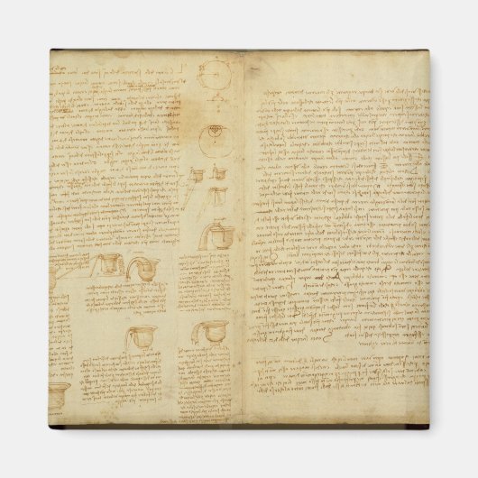 Een pagina van de Codex Leicester, 1508-12 Magneet (Voorkant)