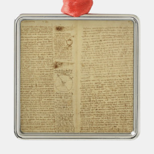 Een pagina van de Codex Leicester, 1508-12 Metalen Ornament