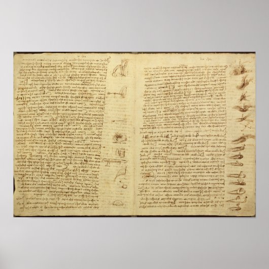 Een pagina van de Codex Leicester, 1508-12 Poster (Voorkant)