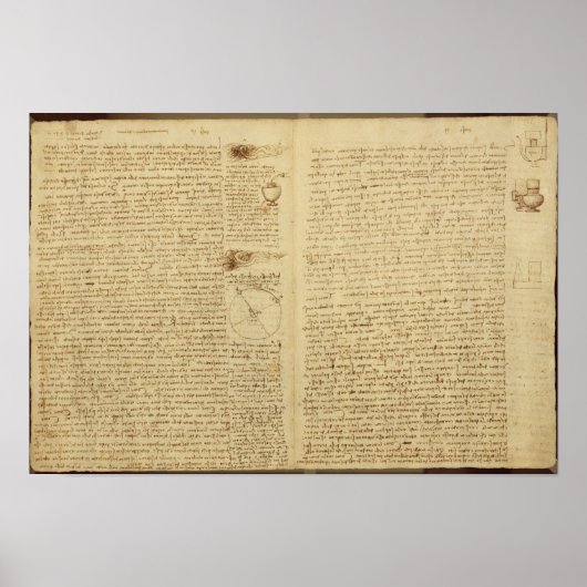 Een pagina van de Codex Leicester, 1508-12 Poster (Voorkant)