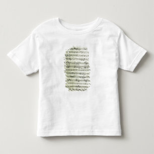 Een pagina van één van de enige twee exemplaren kinder shirts