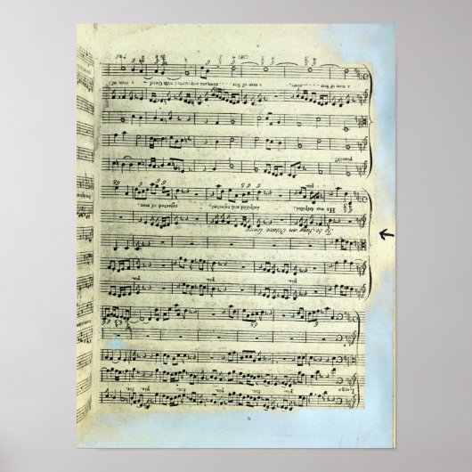 Een pagina van één van de enige twee exemplaren poster (Voorkant)