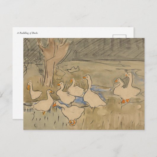 Een pak van eenden briefkaart (Voorkant / Achterkant)