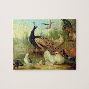 Een pakje, Doves, Kippen en een pakje in een Park Legpuzzel