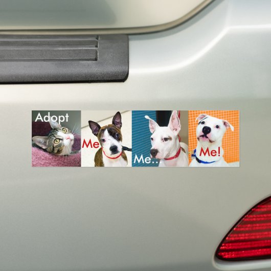 Een pakket aannemen bumpersticker (Op auto)