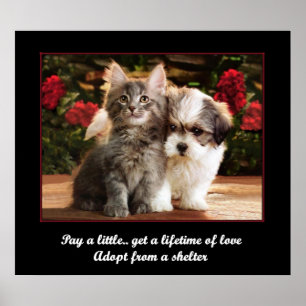 Een pakket aannemen poster