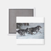 Een pakket wolven die door de sneeuw lopen magneet (Voorkant / Achterkant)